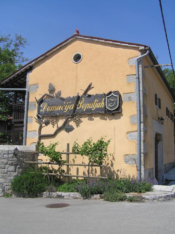 Guesthouse Domacija Sajna Sežana Exteriör bild